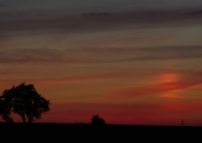 Kupfer-rote Wolkenstreifen prägen den Abendhimmel.