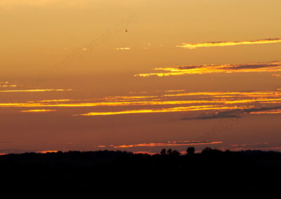 Bzarre Wolkenbänder werden von der unter gegangenen Sonne in goldenes Leuchten versetzt.