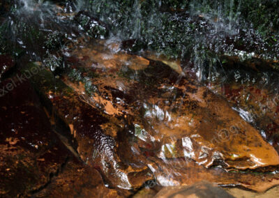 Durch fallendes Wasser abgeschliffene Steine mit braun-schwarzer Farbmusterung werden durch das Wasser in Glanz gesetzt.